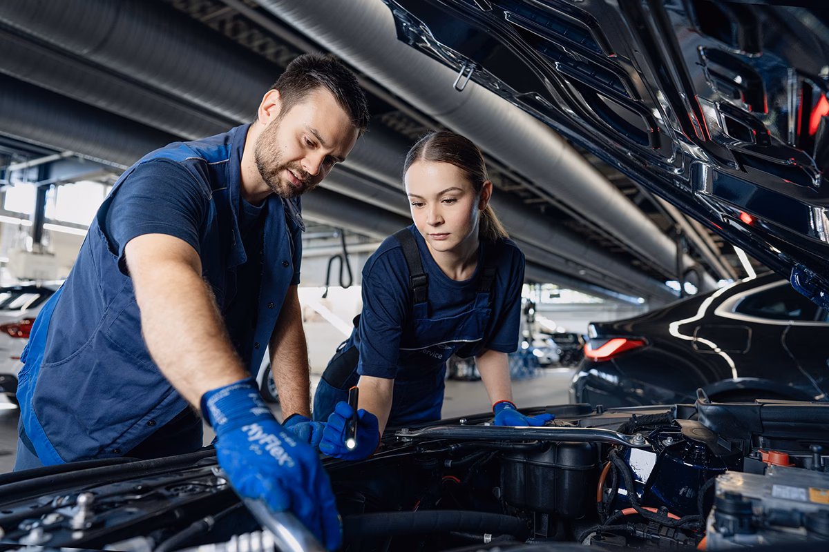 Was muss man studieren um Mechatroniker zu werden?