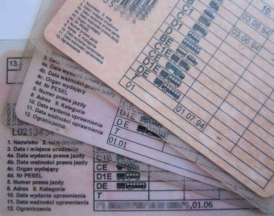 Kto jest pełnomocnikiem Prawa jazdy?