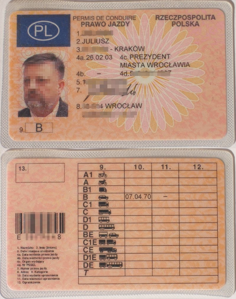 Is Polish driving license valid?