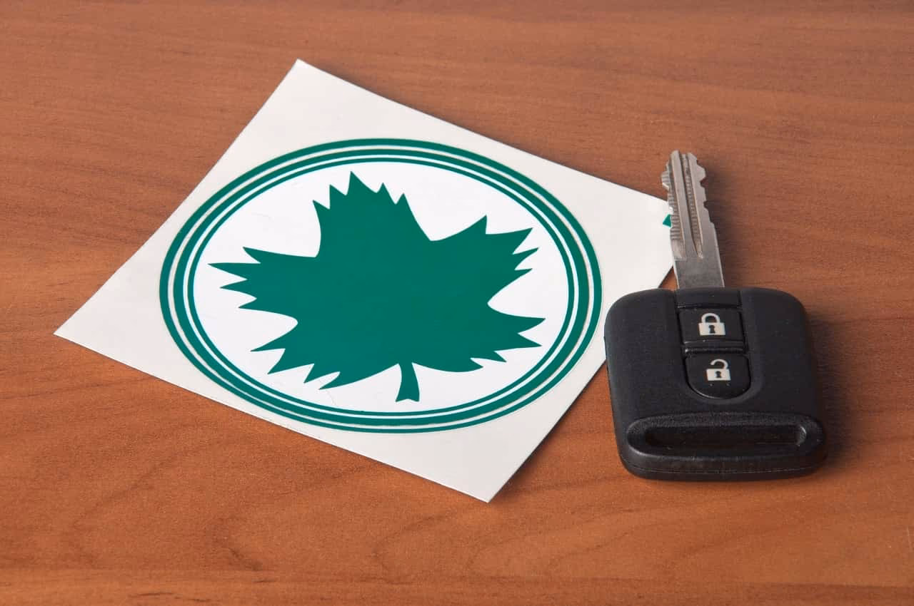 Kim jest zielony liść w ruchu drogowym?