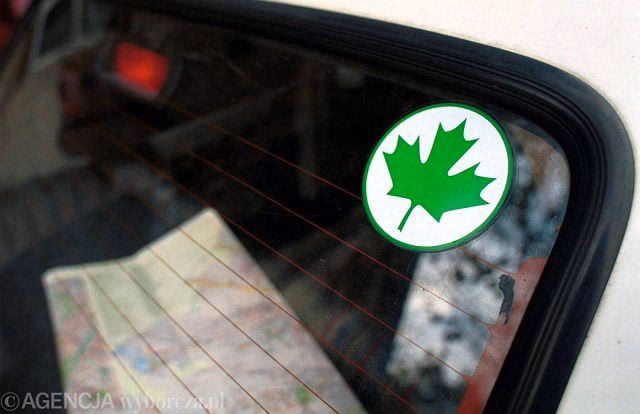 Kim jest zielony liść w ruchu drogowym?